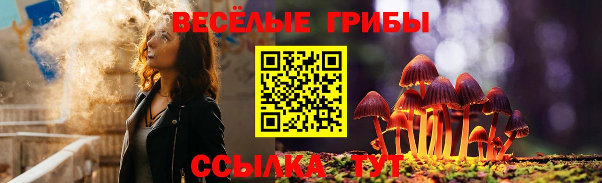 Галлюциногенные грибы MAGIC MUSHROOMS Кыштым